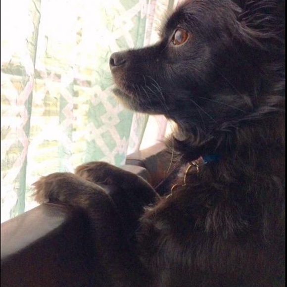 Meet your Posher, N L - Picture 3 of 8